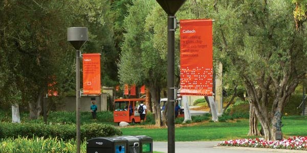 agmedia college campus banners